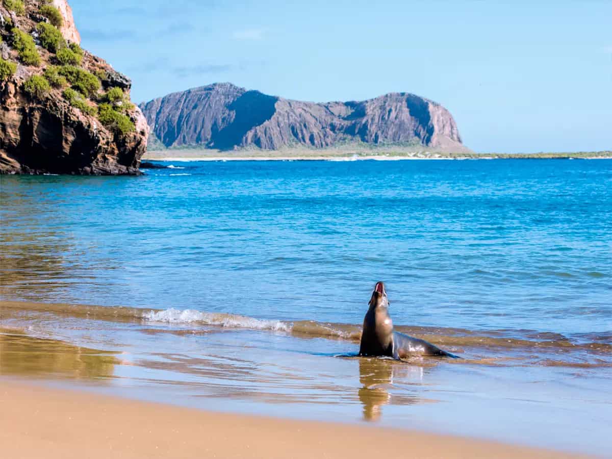 Lonely Planet viaggi natura