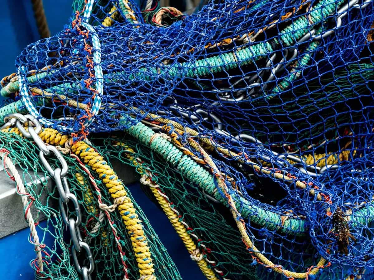 Pesca strascico