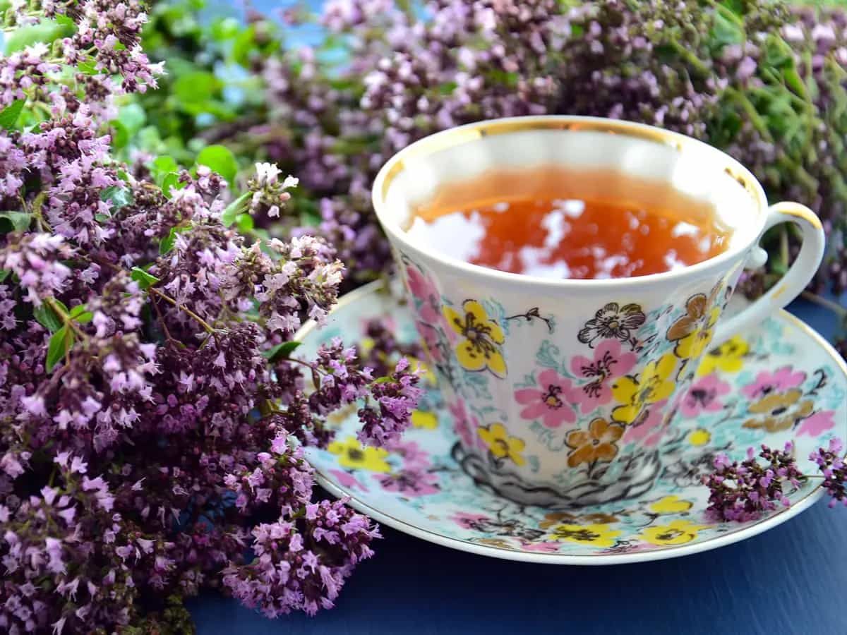 Giardino erbe tisane infusi