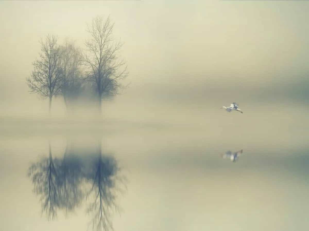 Lago esplosivo