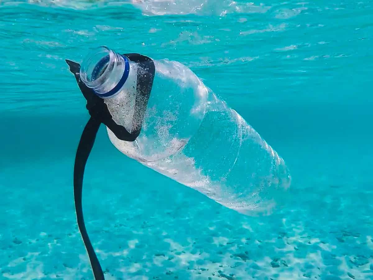 Plastica oceani USA