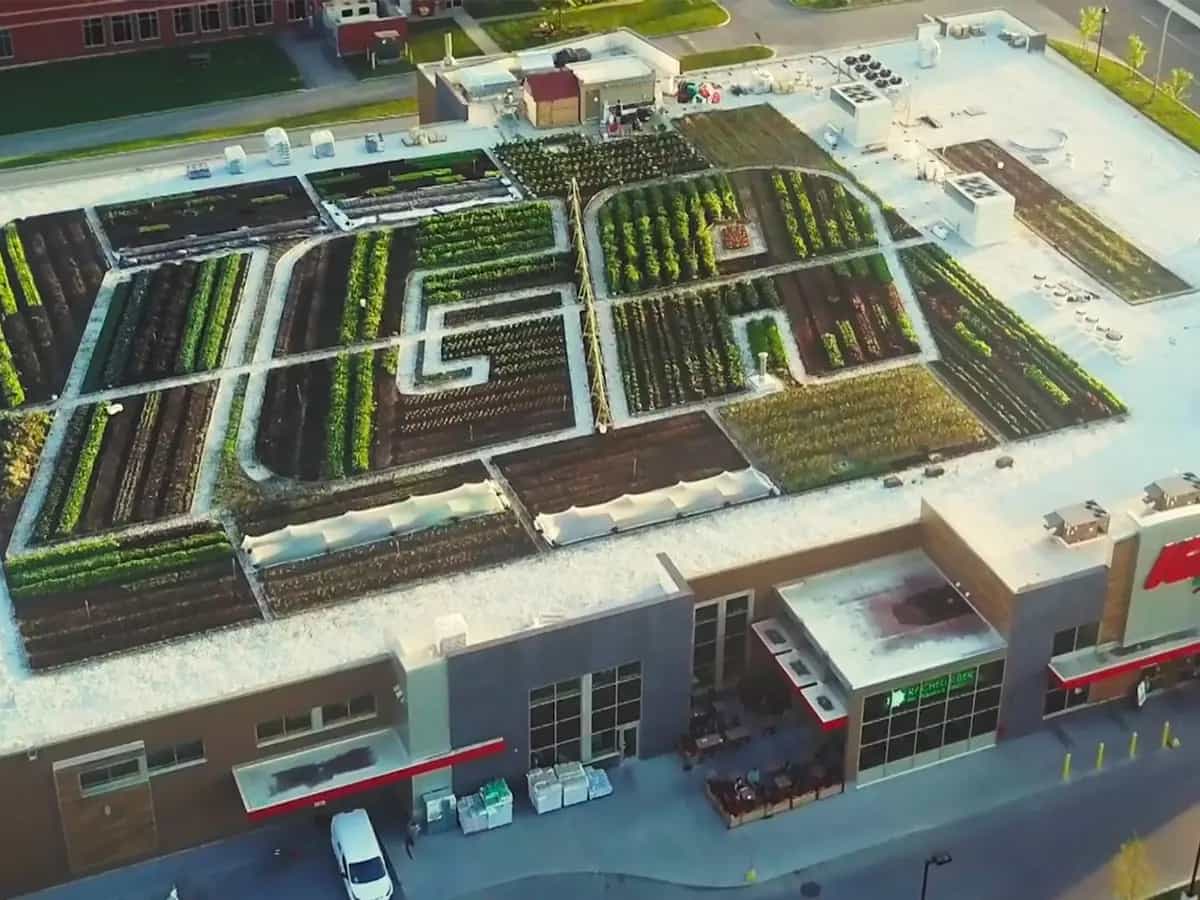 Supermercato orto tetto