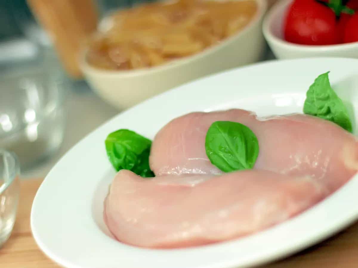 Pollo laboratorio autorizzato commercio