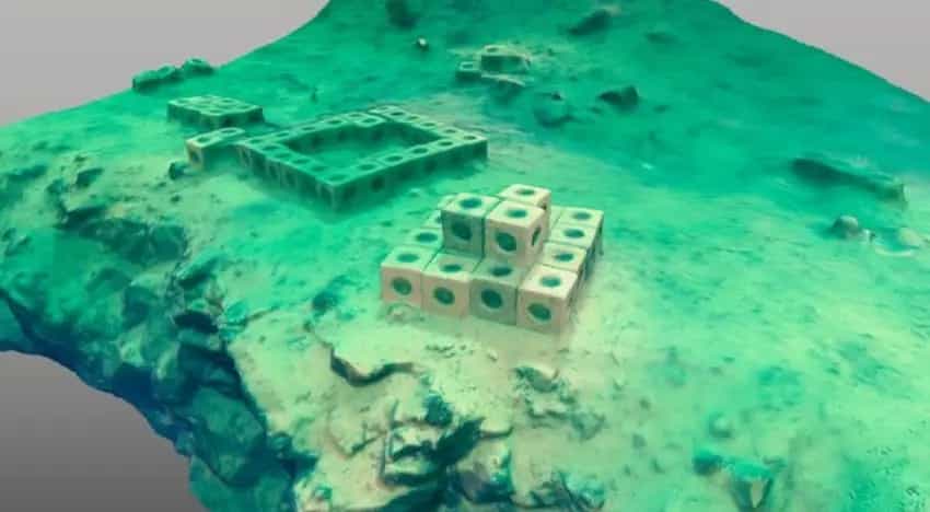 Una start-up ha sviluppato dei coralli artificiali plastic free prodotti con il materiale delle cave riciclato