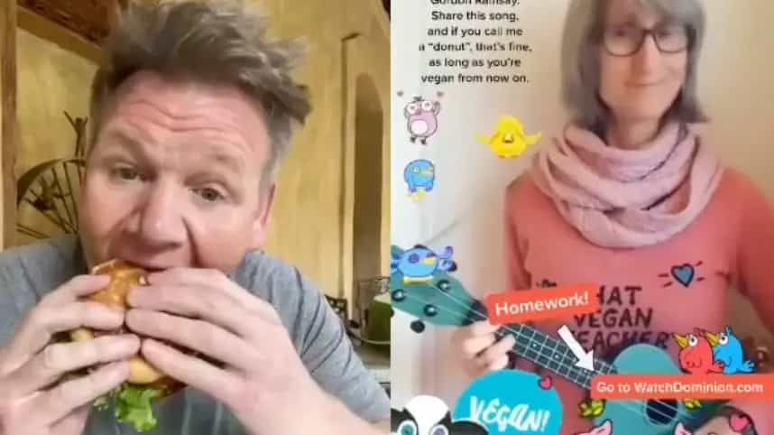 Gordon Ramsay ha risposto a una provocazione all'influencer veg di TikTok, That Vegan Teacher, mangiando un hamburger