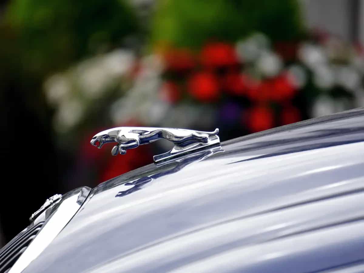 Entro il 2030 Jaguar renderà elettrica la sua intera gamma di auto, compresi i fuoristrada Land Rover