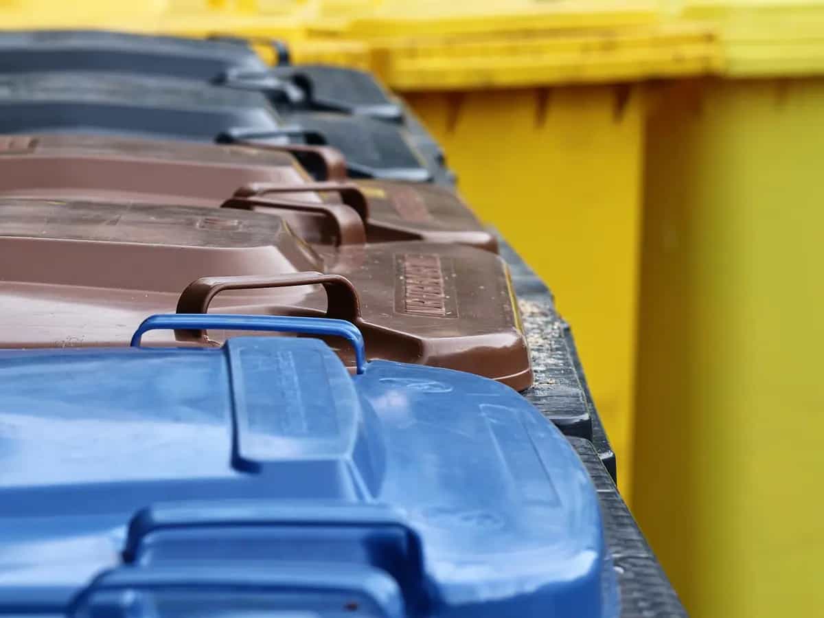 A molte persone ancora sfugge la differenza tra biodegradabile e compostabile: solo nel secondo caso il rifiuto va nell’umido