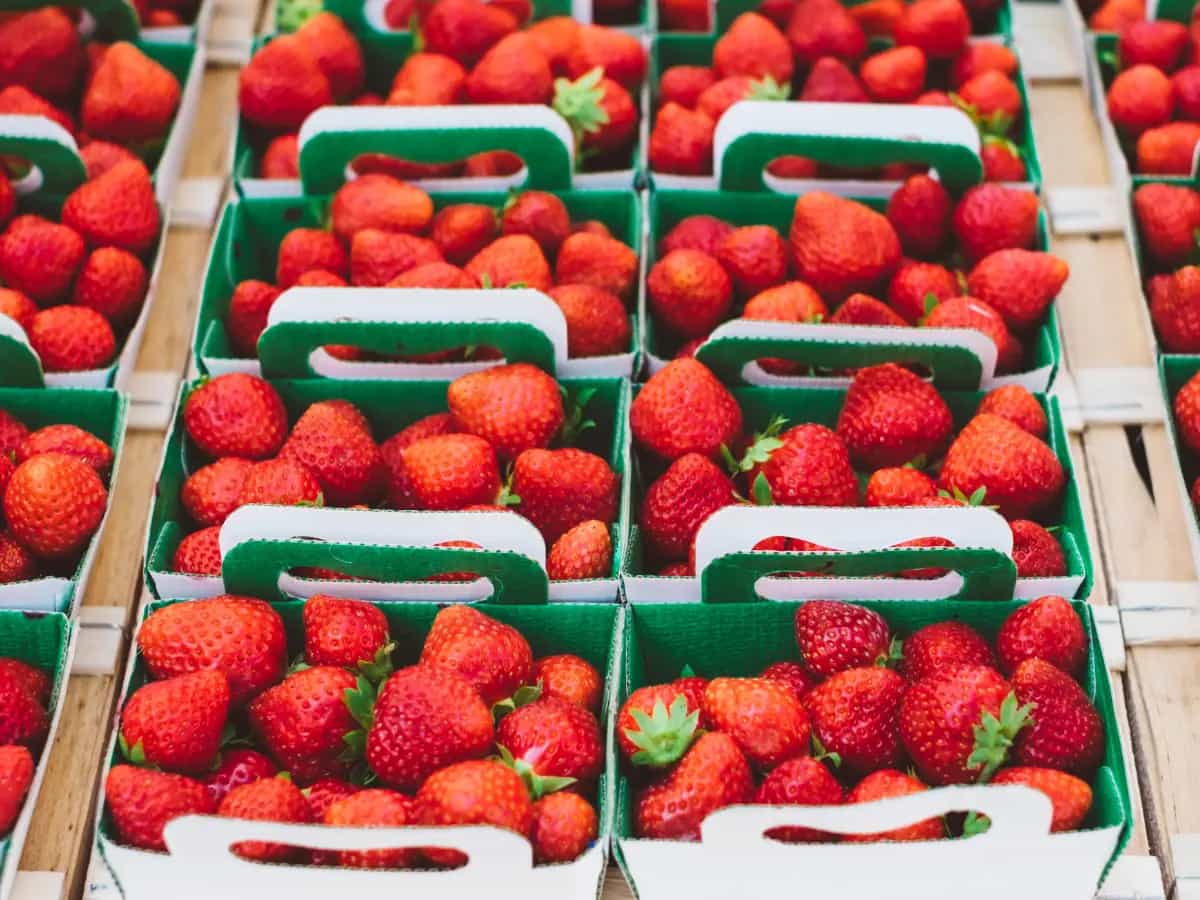 Tra la frutta e la verdura tipica del mese di aprile ci sono anche le fragole