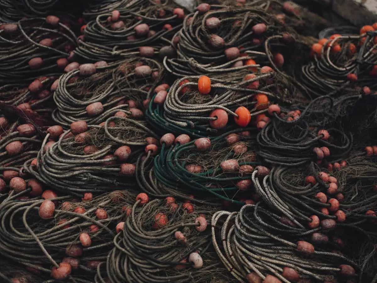 Pesca a strascico ed emissioni