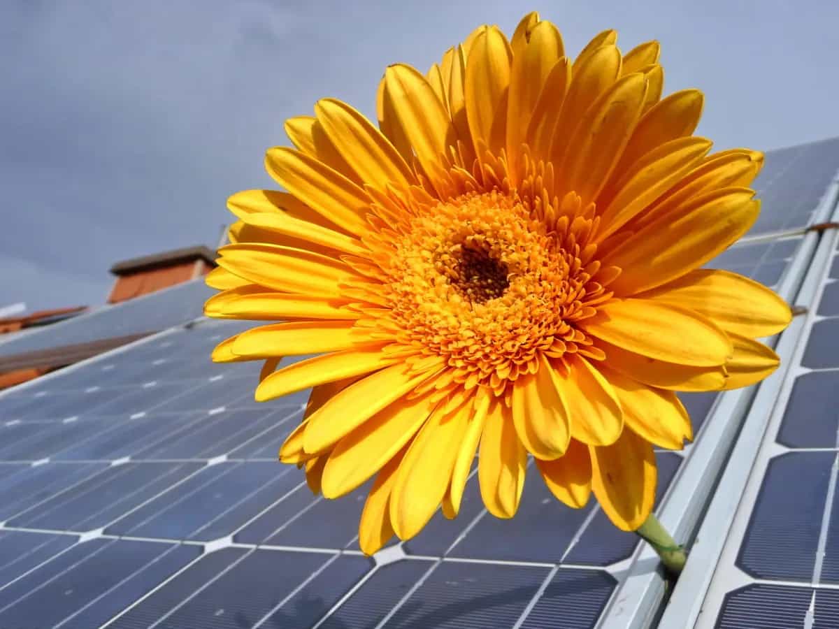 energia solare api