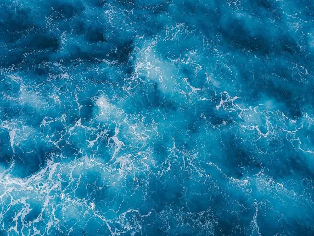 Salvare gli oceani