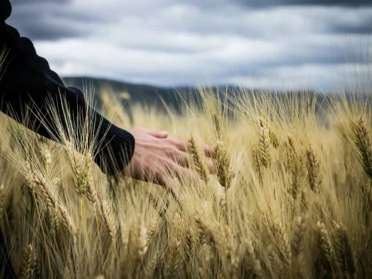condizioni meteo estreme