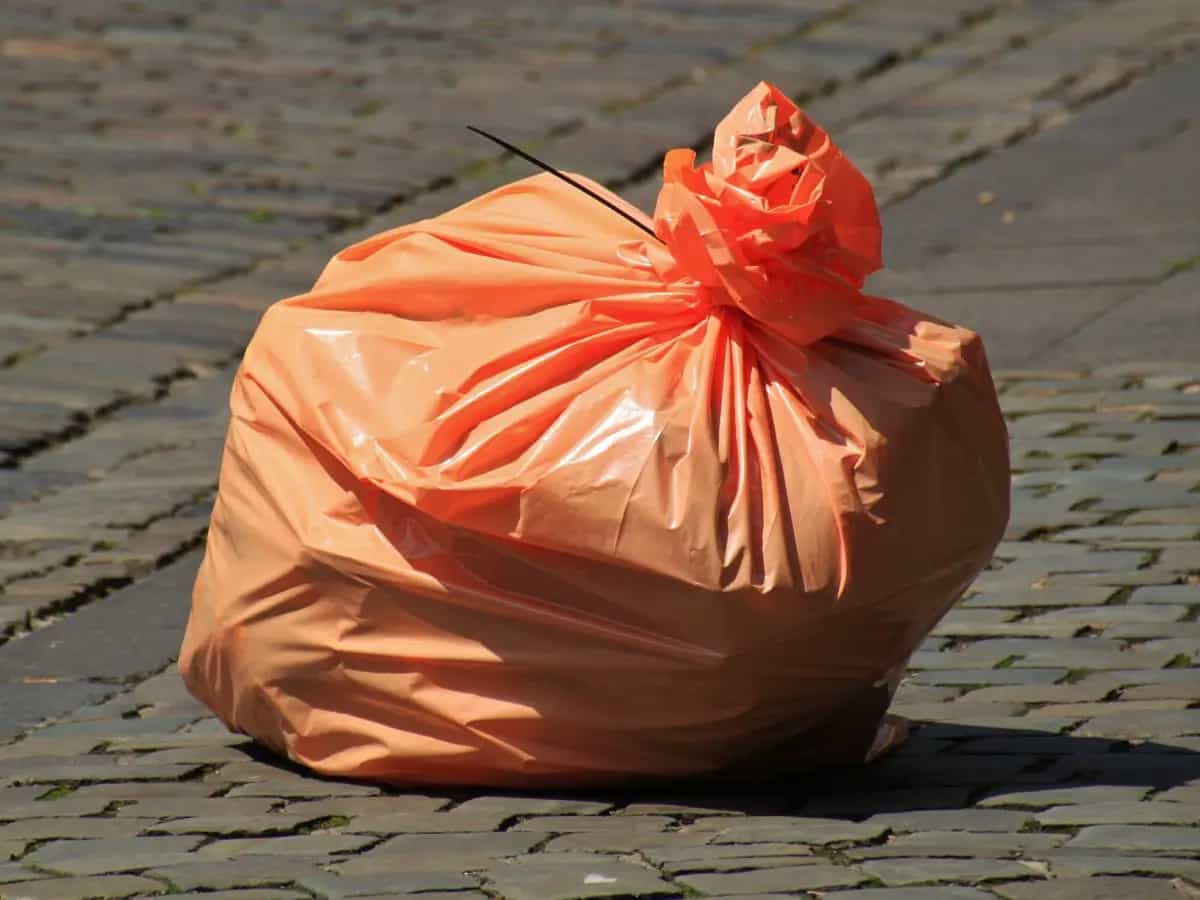 giornata internazionale senza sacchetti di plastica