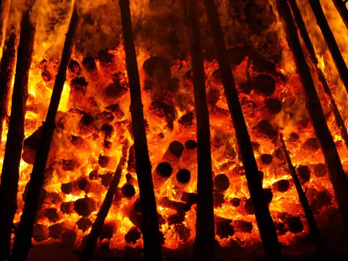 incendi boschivi