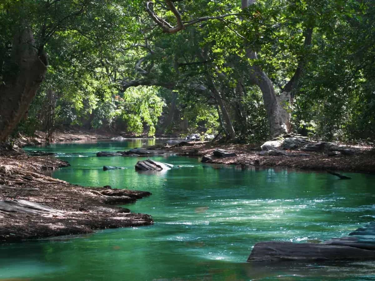 ossigeno nei laghi