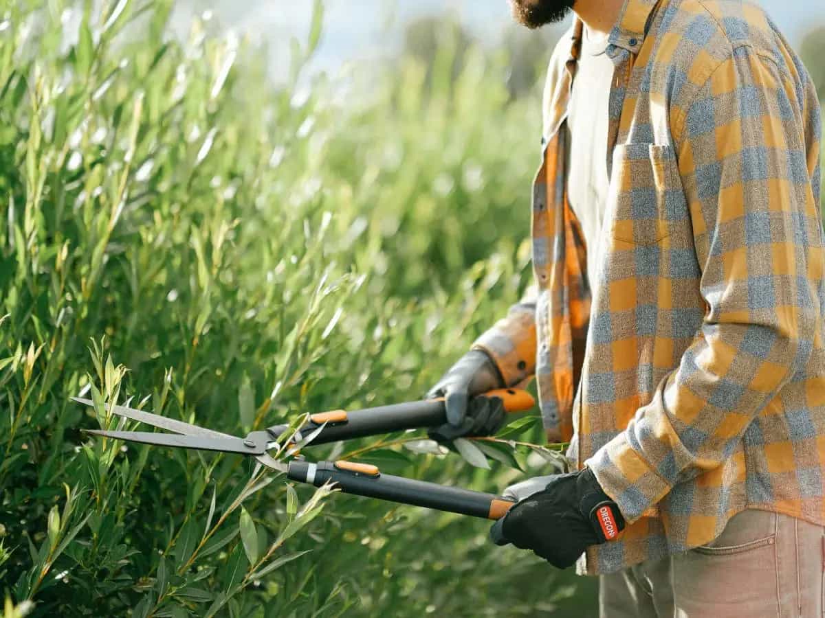 cambiamento climatico e giardini