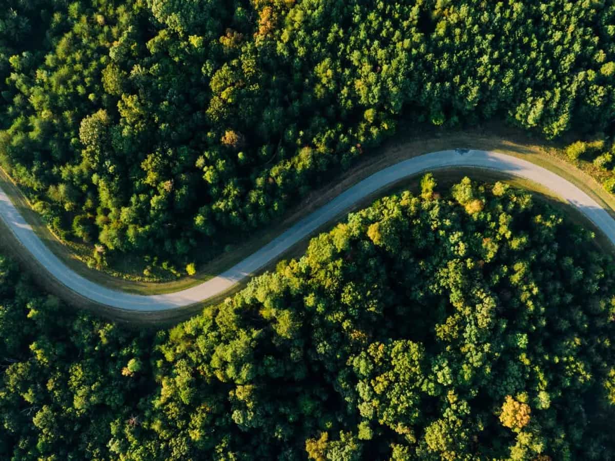 foreste tropicali a rischio