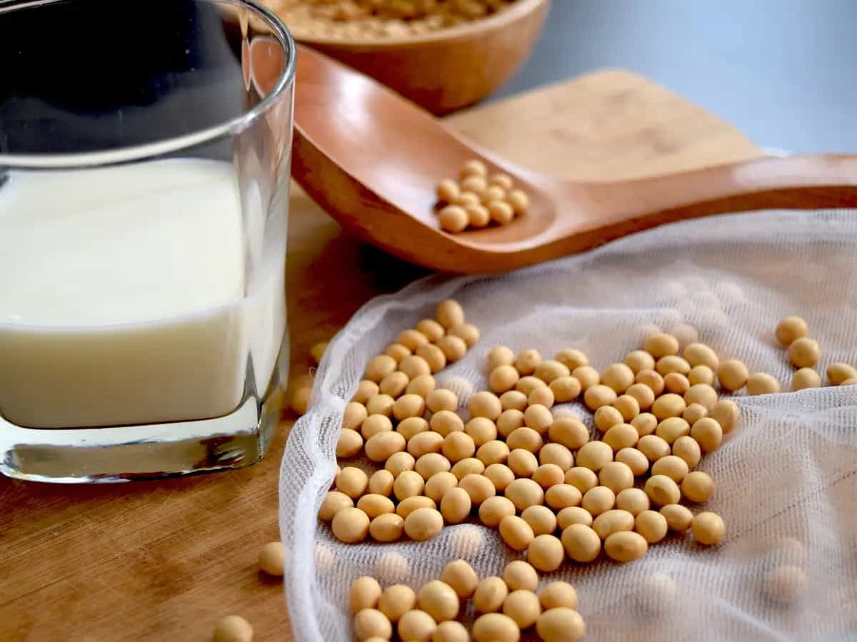 giornata mondiale latte vegetale