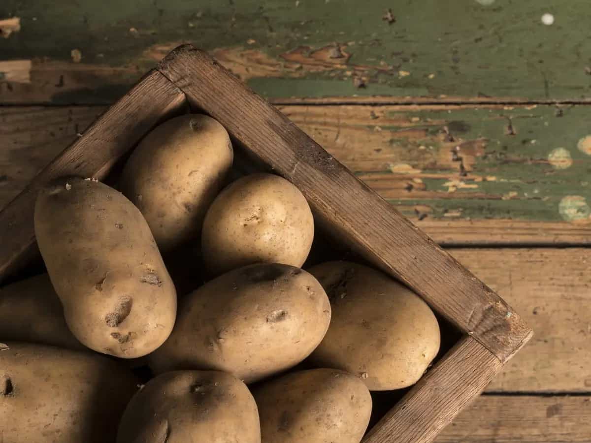 latte di patate