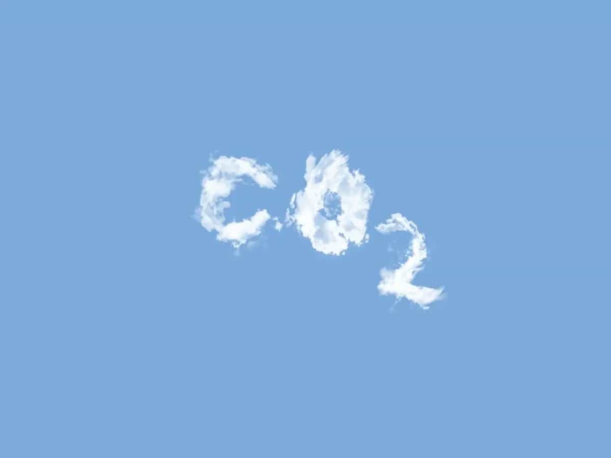 Un taglio consistente delle emissioni di Co2 può arrivare solo da politiche climatiche di alto livello. Ma anche noi come individui possiamo dare un piccolo aiuto
