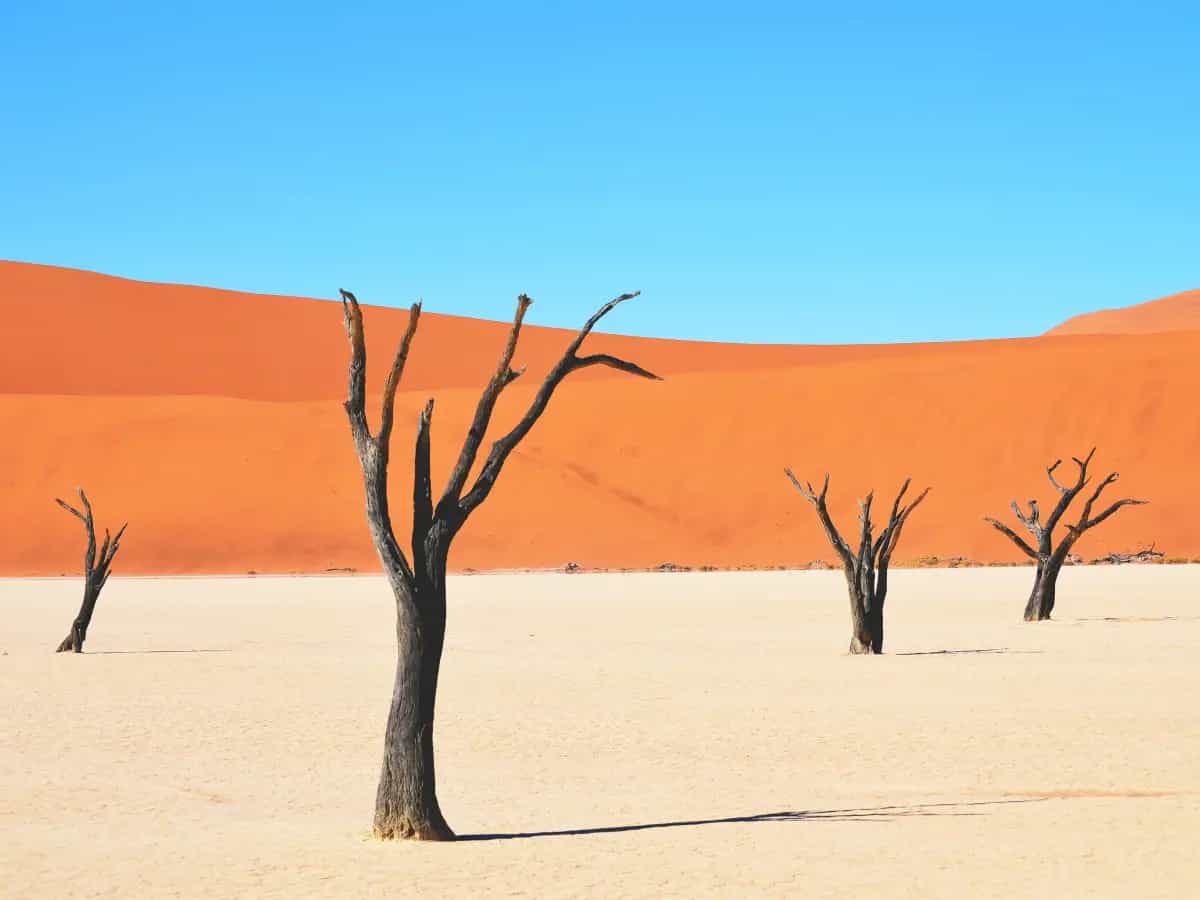 terra inabitabile