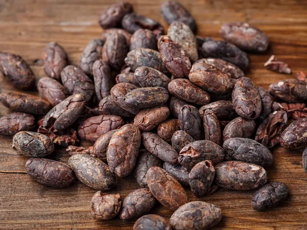 Cioccolata di Samoa