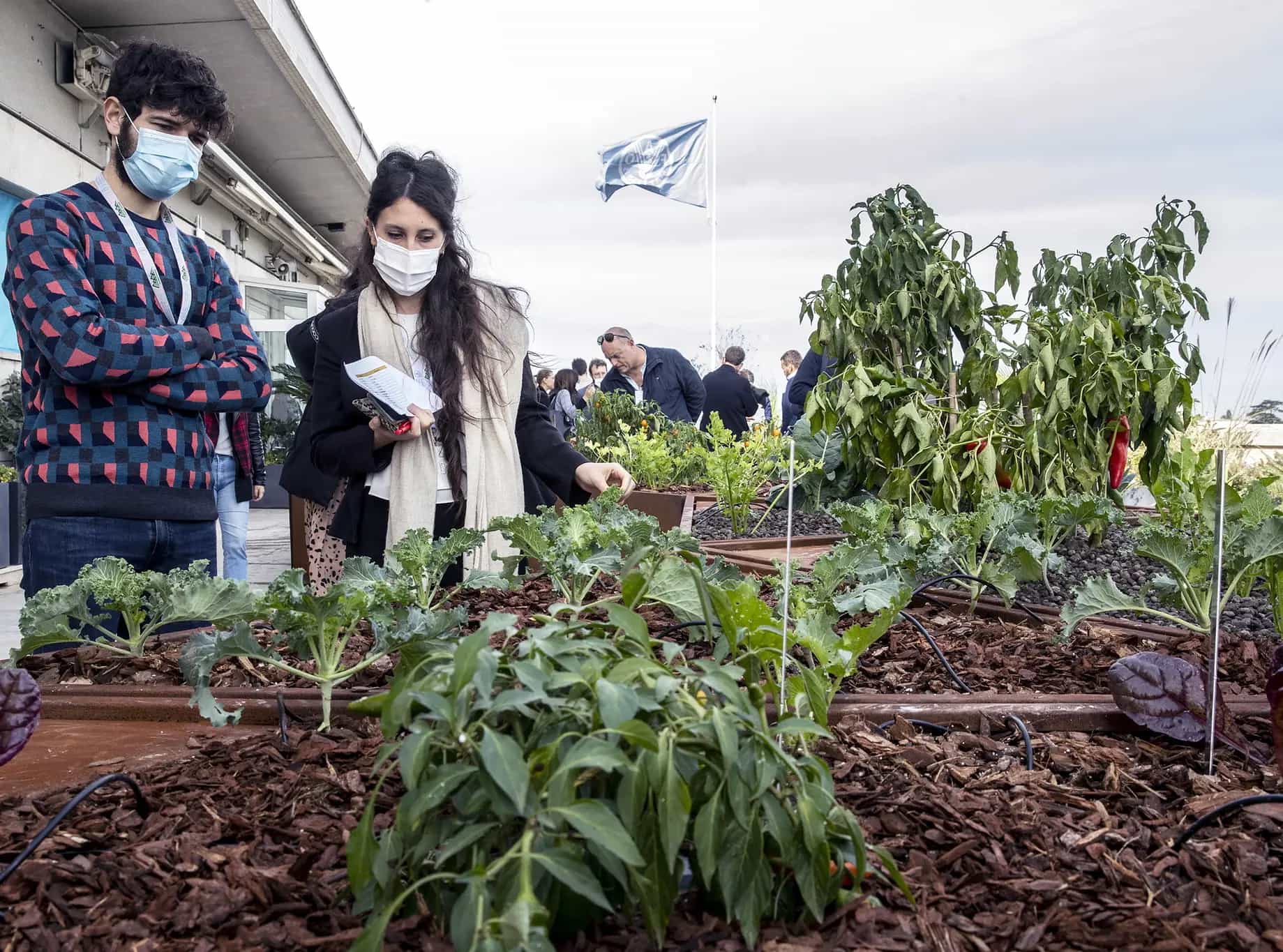 bio orto fao roma
