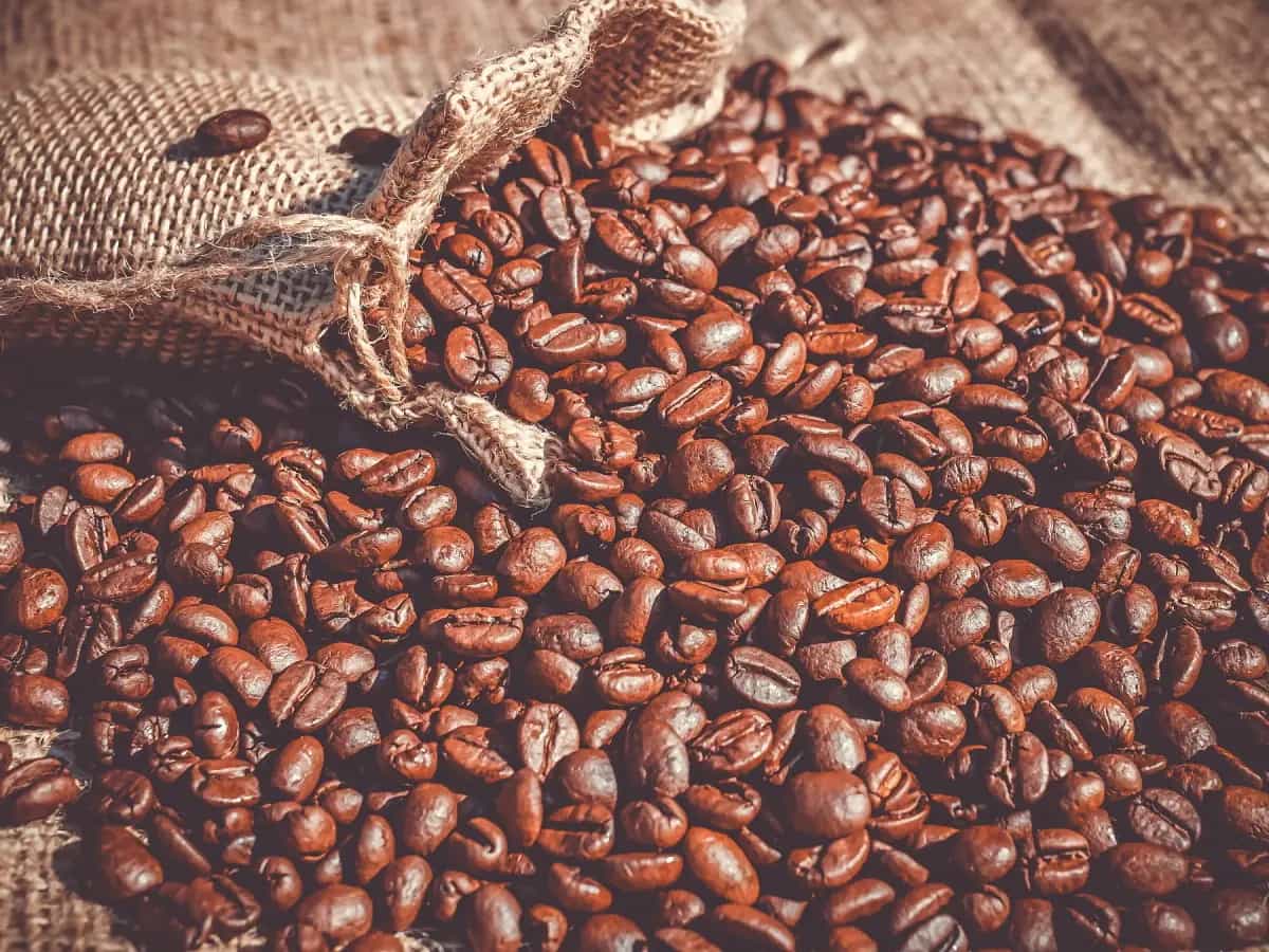 caffe crisi climatica