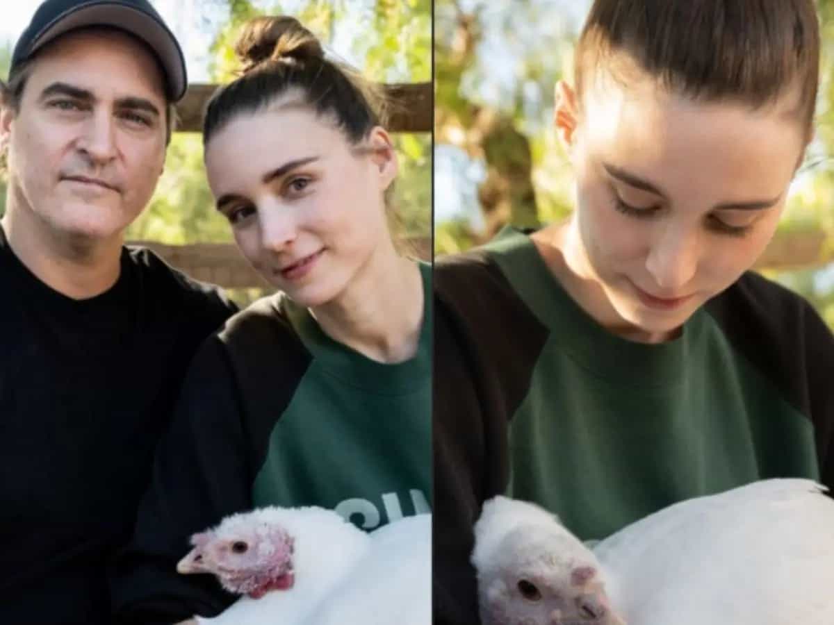 Joaquin Phoenix ha lanciato un appello in difesa dei tacchini in occasione del Giorno del Ringraziamento