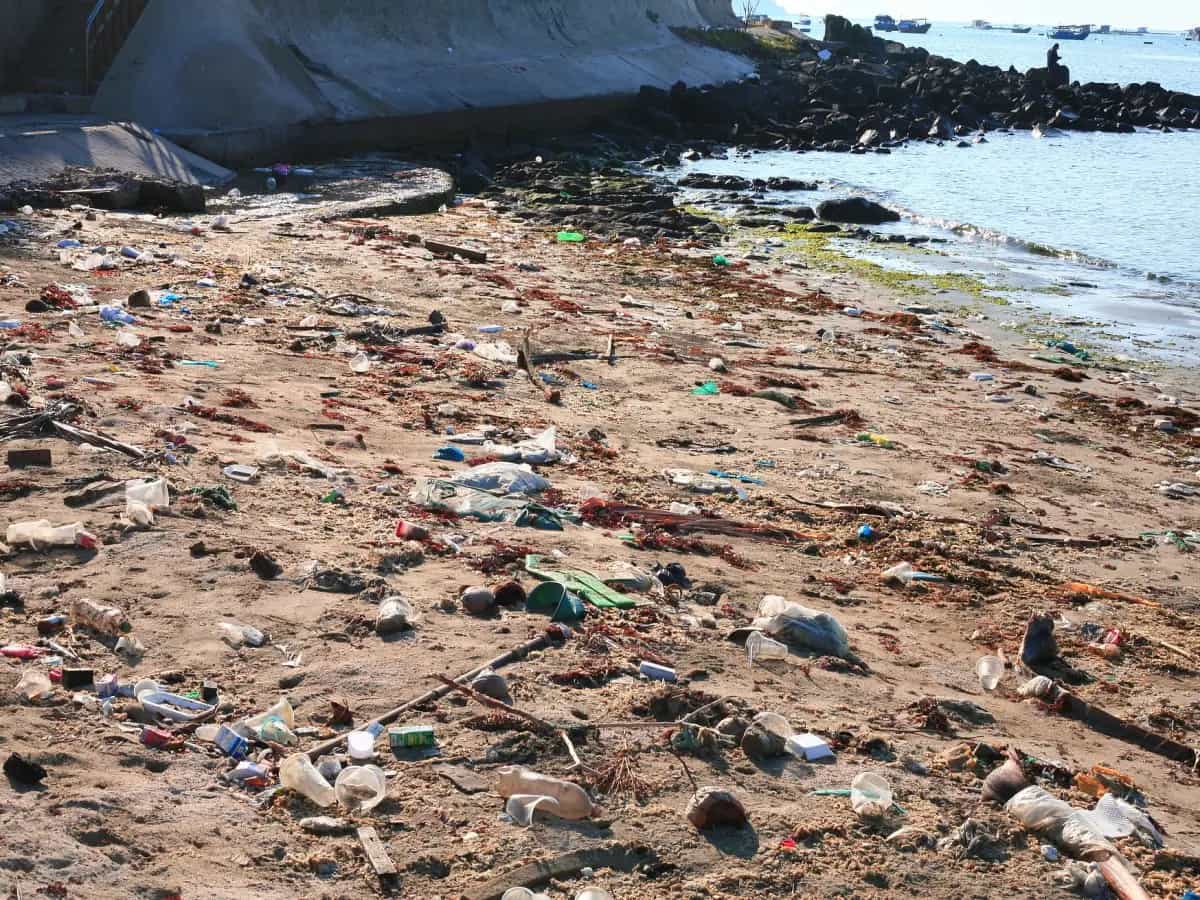 plastica mediterraneo