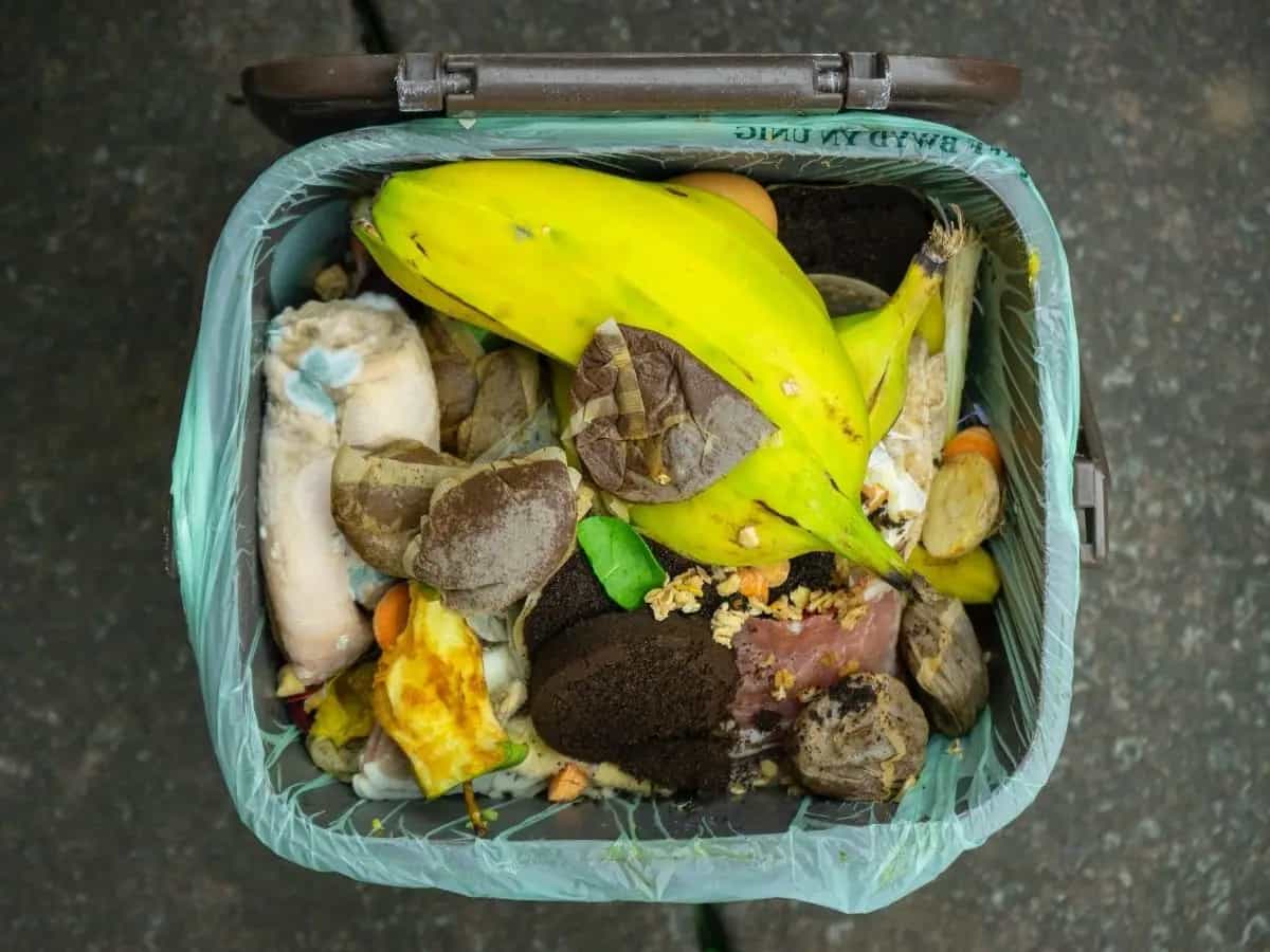 Anche gli sprechi di cibo contribuiscono alla crisi climatica. Il 10% dei gas serra rilasciati a livello globale proviene da questa fonte