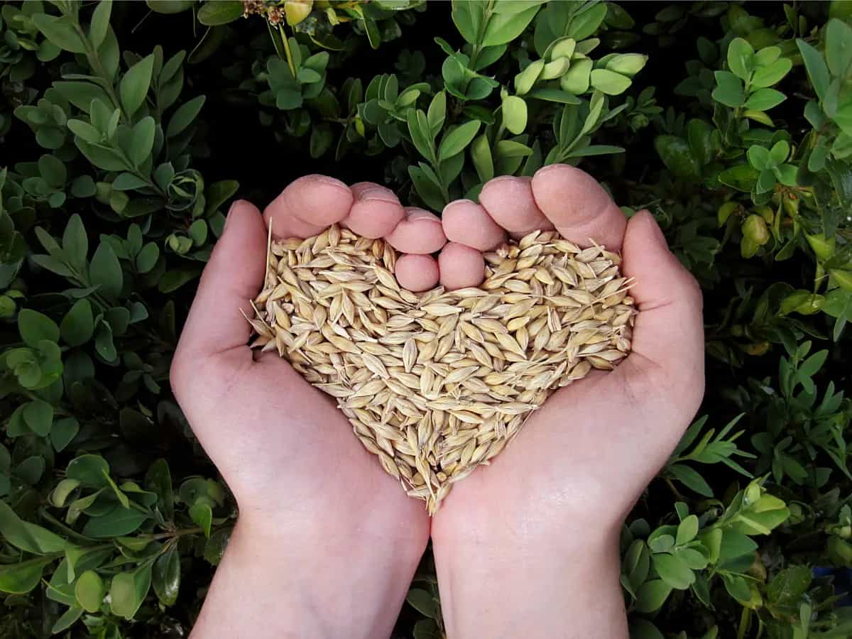 agricoltura rigenerativa