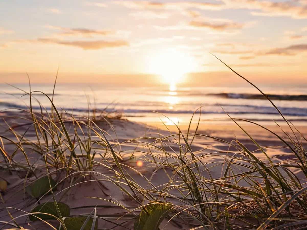 caldo record Australia temperature