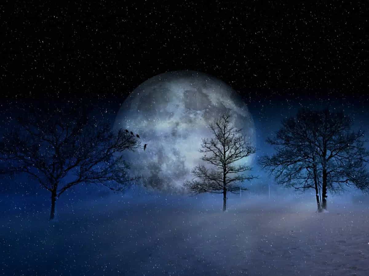 neve illuminata Artico