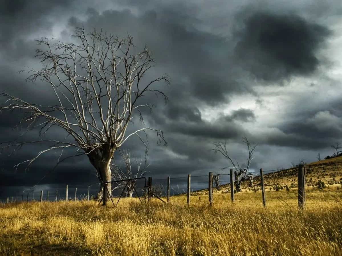 defoestazione tempeste