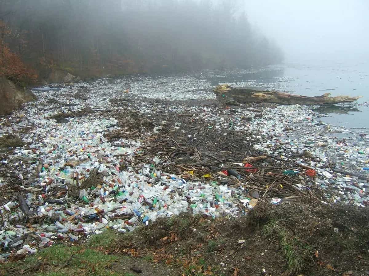 microplastiche fiumi