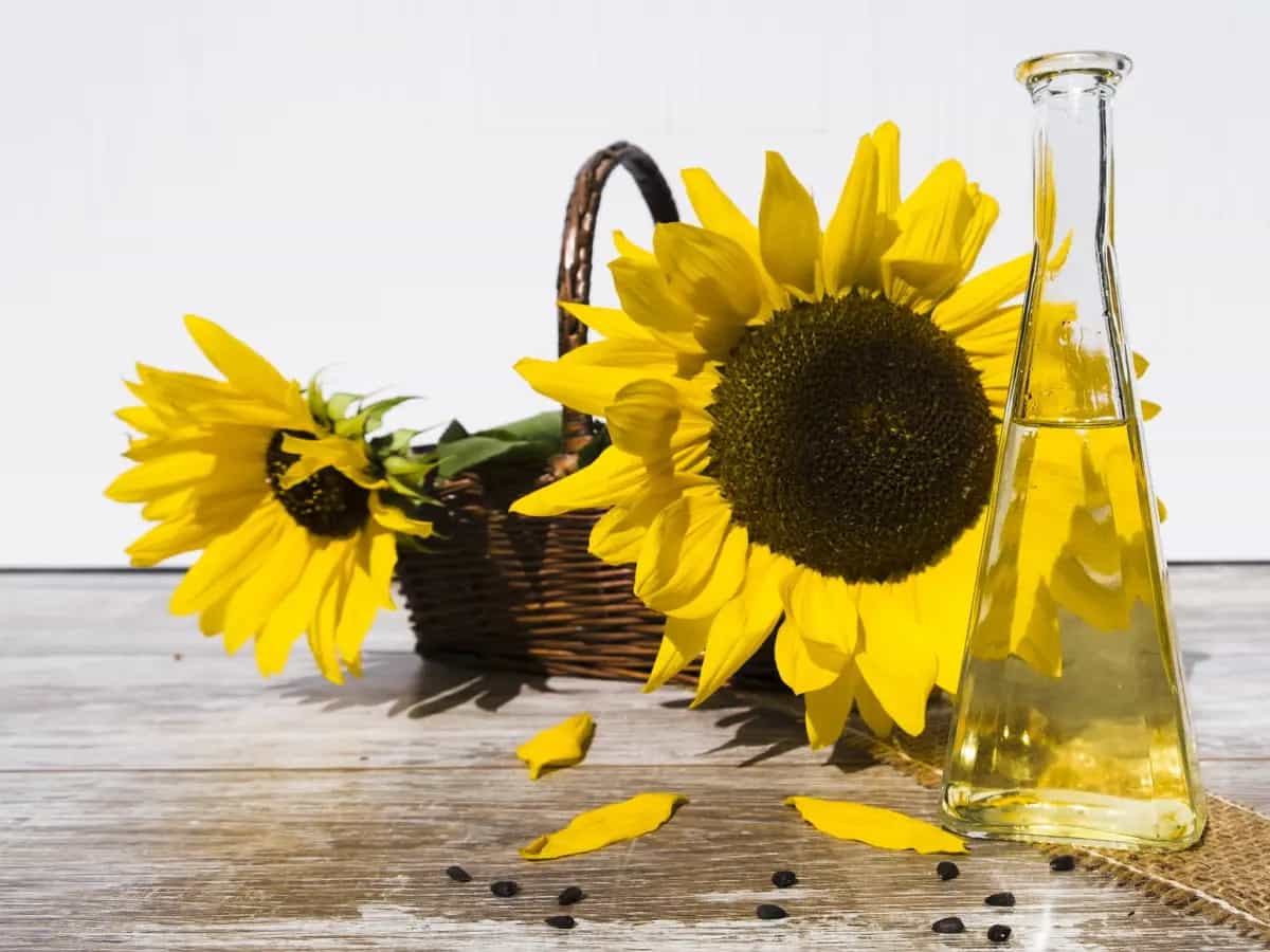 ucraina olio semi girasole