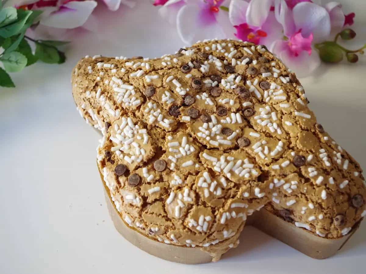 colomba avanzata