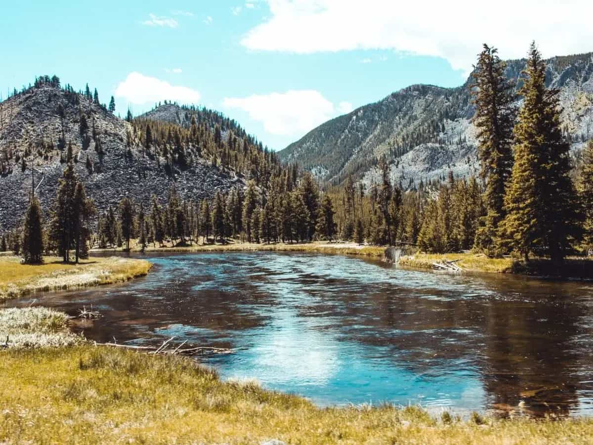 Per i suoi primi 150 anni, Yellowstone offre pass annuali, usabili fra altri 150 anni, a chi sosterrà economicamente il Parco