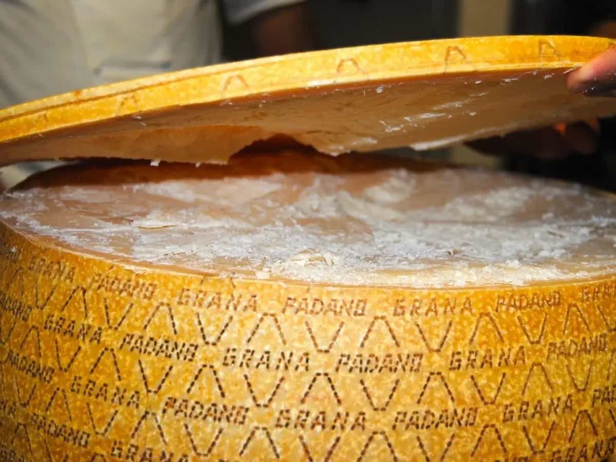 Grana Padano, presentato un software per il risparmio energetico nei caseifici