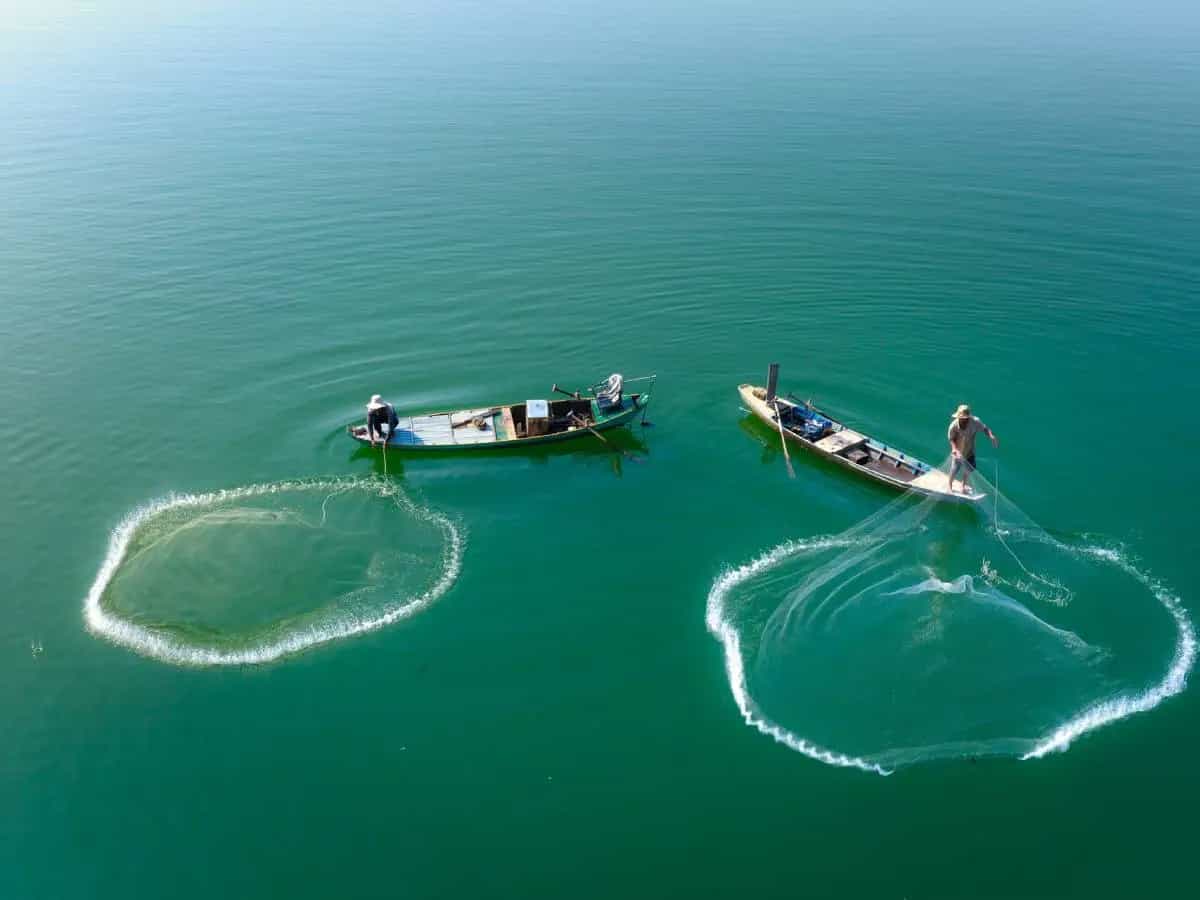 rendere pesca sostenibile