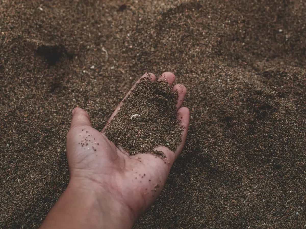 suolo degrado alimentazione