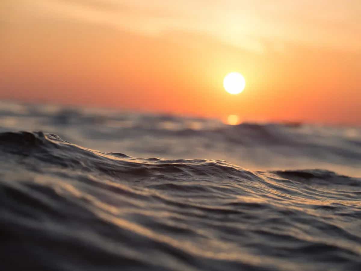 giornata mondiale oceani
