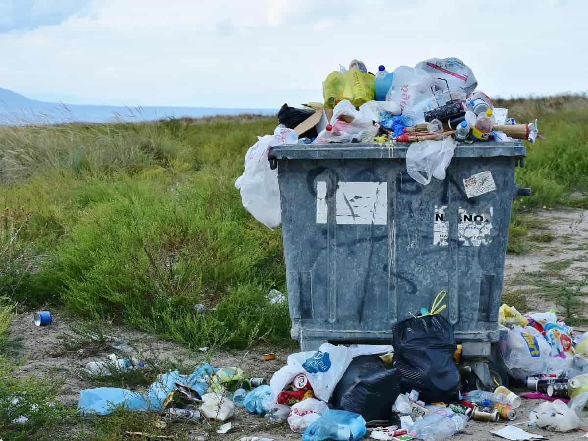 inquinamento plastica responsabili