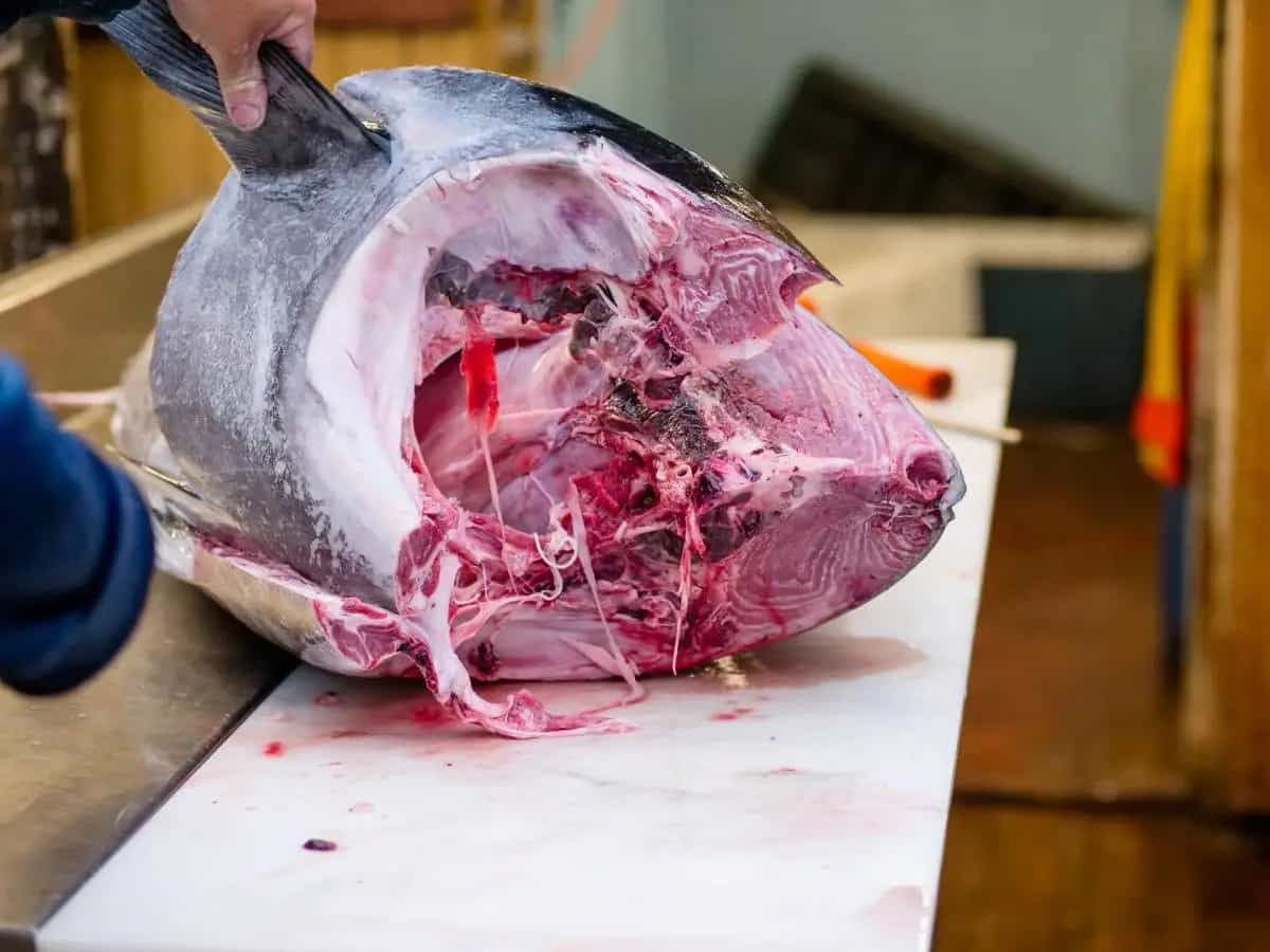mangiare pesce melanoma
