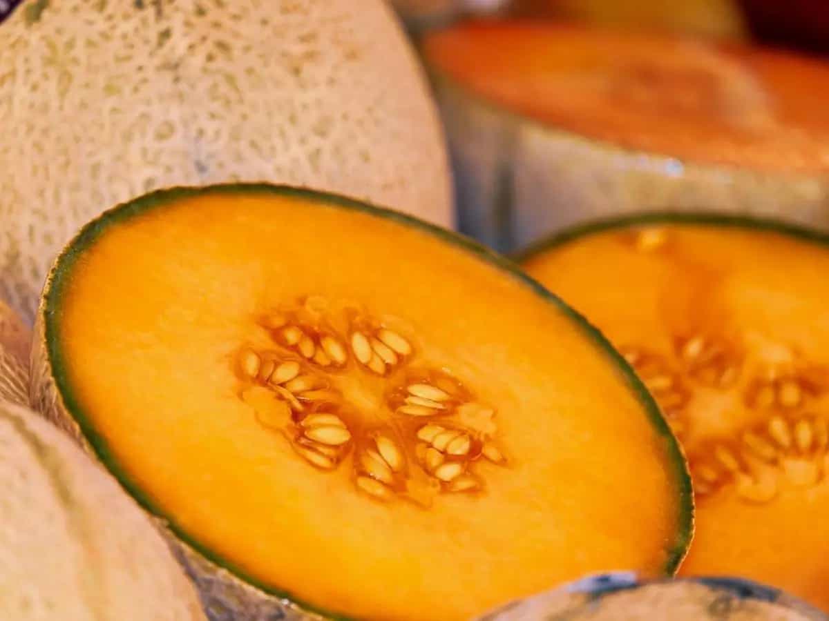melone proprietà benefici