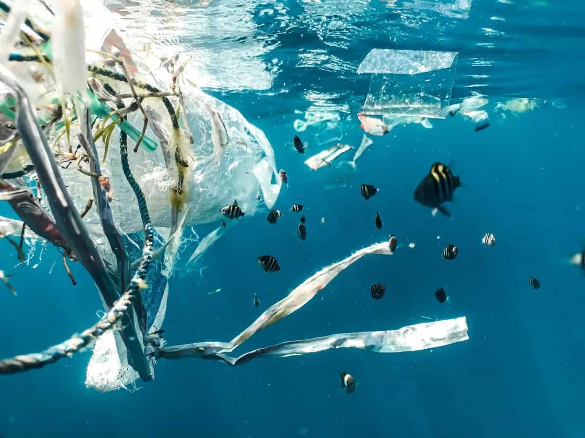 Plastitar, la fusione tra catrame e microplastiche che allarma gli scienziati