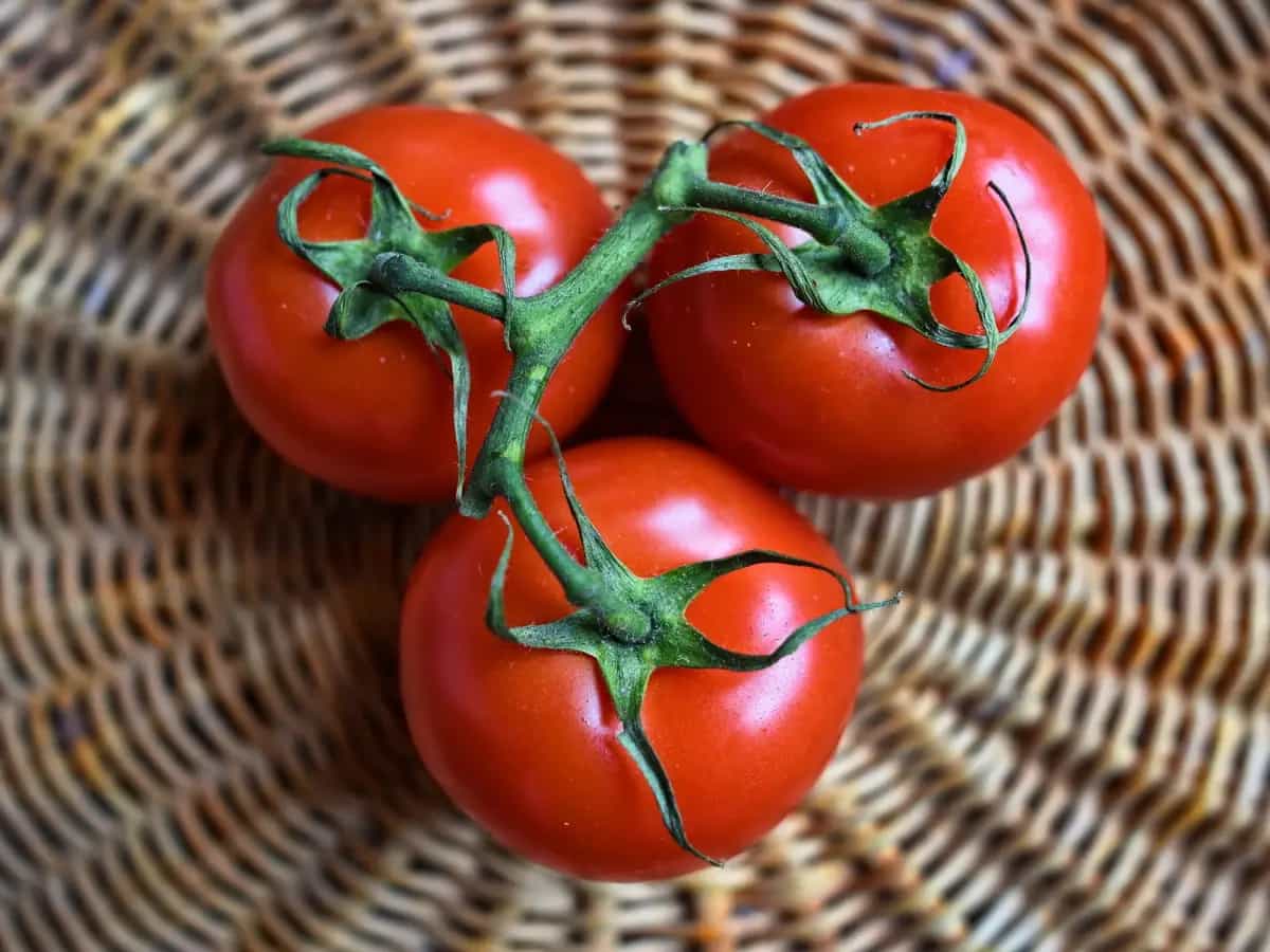 pomodoro vitamina d
