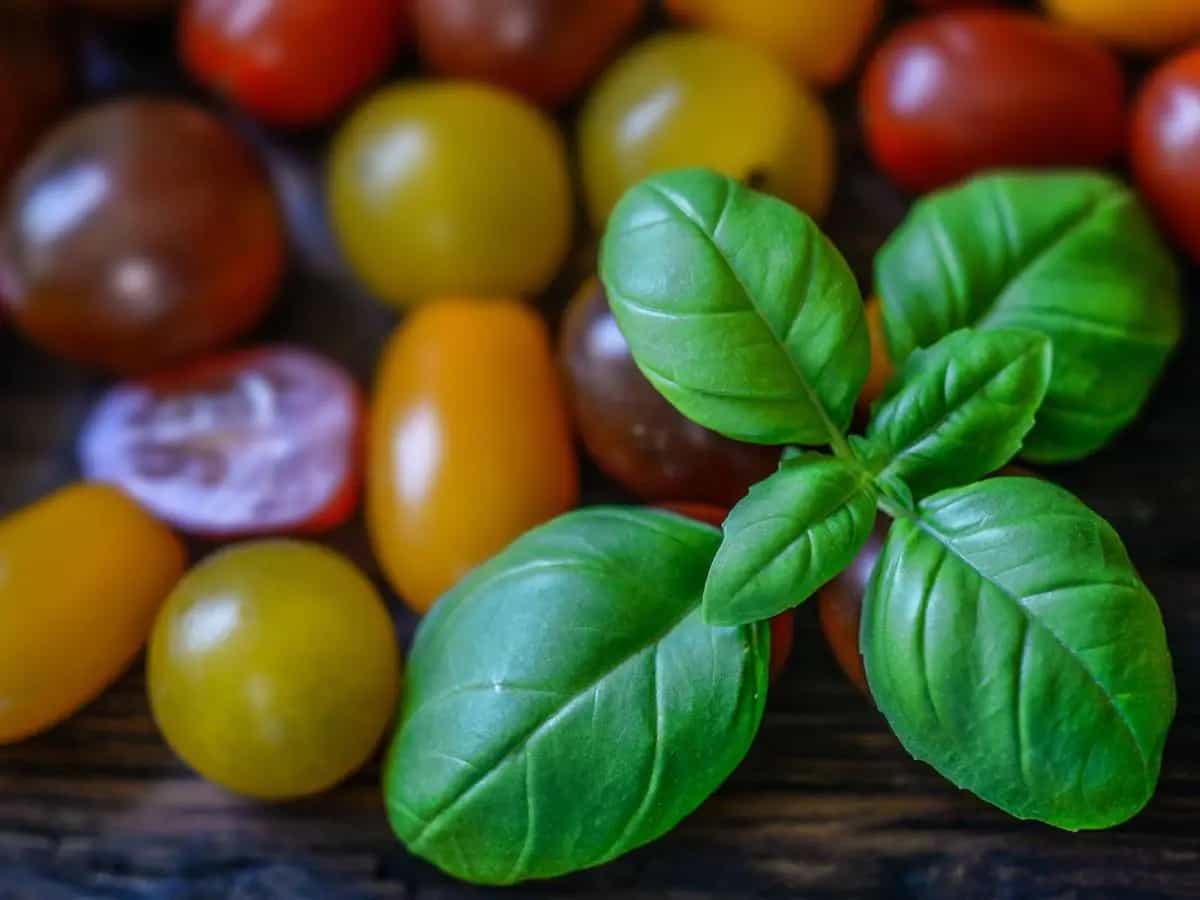calendario frutta verdura agosto