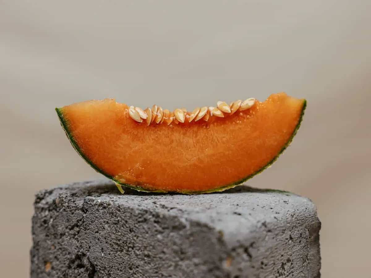 differenza melone retato liscio